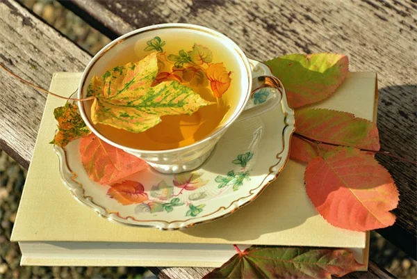 ADHD Medication Truth: Why Prescribed Stimulants Don't Cause Addiction
