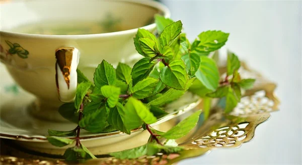 Morning Sickness Breakthrough: How GDF15 Hormone Causes Pregnancy Nausea